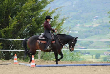 Equitation